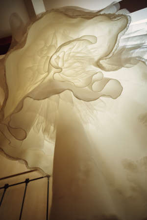Bridal Dress Inside. Wedding Day Concept. Bottom View. Image Toned.の写真素材