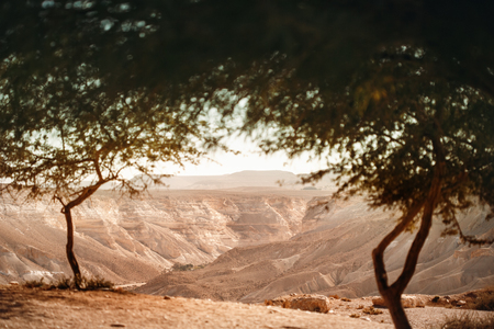 View from Oasis on Negev Desert. Israel Tourism. Great for text.の写真素材