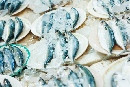 Fresh Catched Raw Fish on Ice at the Market or Fish Restaurantの写真素材