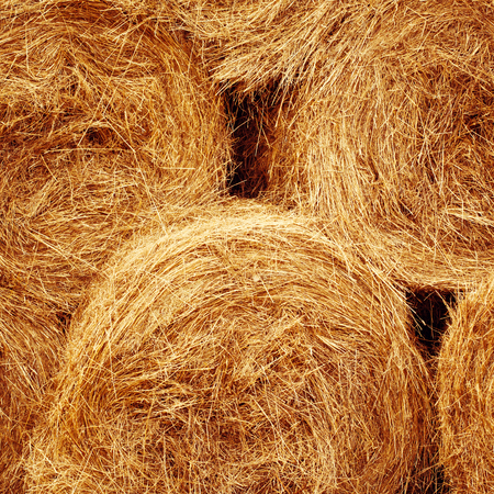 Hay bales texture. Agriculture background and concept. Space for text, close-up composition.