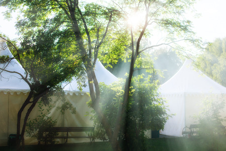 Sunny day in city park. Landscape nature background.の写真素材