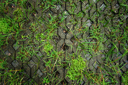 Green wet road after rain. Top view.の写真素材