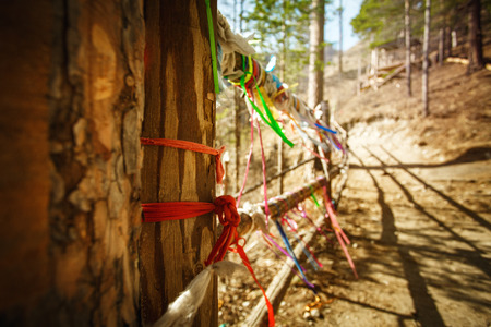 Colored ribbons on wooden bridge in forest. Buddhism tradition. Nature background.の写真素材