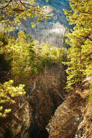 Mountain and canyon landscape view. Nature travel background.の写真素材