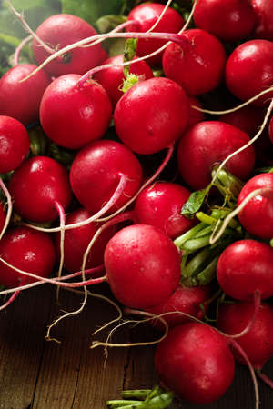 Close-up of fresh picked radish on rustic table. Close-up, copy space.の写真素材