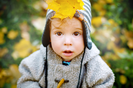 Close up of cute curious little boy with yellow leaf in a cap. Autumn concept.の写真素材