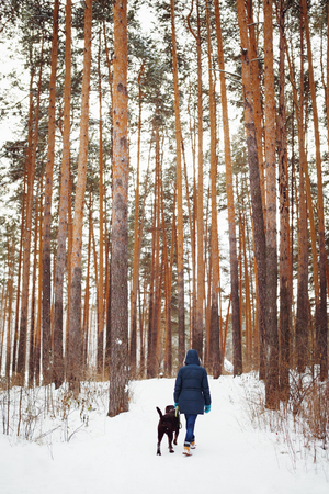 Woman in warm clothes playing with dog in winter forest. Active winter lifestyle.の写真素材