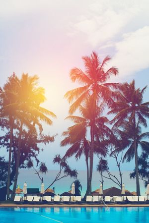 Beach sunset at the coast line, palm tree, sea resort in sun lightの写真素材