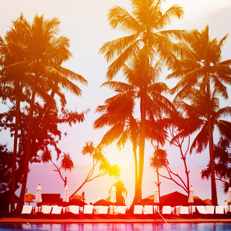 Beach sunset at the coast line, sea resort with palm trees in sun lightの写真素材