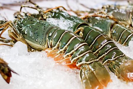 Fresh lobsters on ice. Street food in Asia spiny lobsters close-up.の写真素材