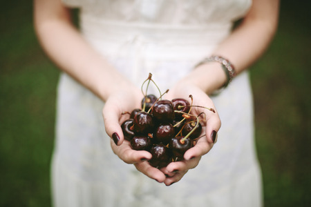 Female hands holding heap of sweet cherries close-up, selective focusの写真素材