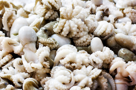 Small octopuses close-up, food backgroundの写真素材
