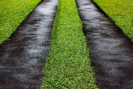 Asphalt road with green grass in center, two ways near conceptの写真素材