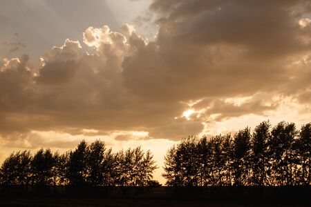 Nature rural landscape at the sunset with cloud awesome skyの写真素材
