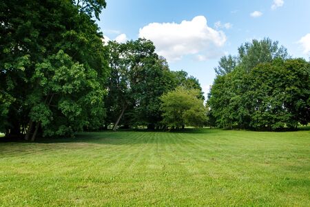 Nature background, park with meadow among green lush foliage and treesの写真素材