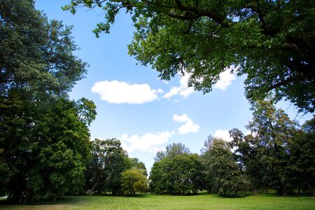 Nature background, park with meadow among green lush foliage and treesの写真素材