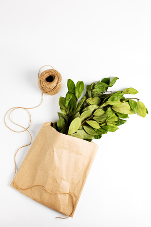 Branches of laurel bay leaves in paper bag on white backgroundの写真素材