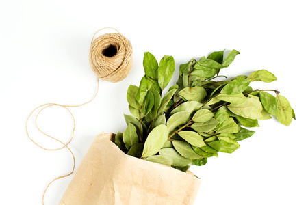 Branches of laurel bay leaves in paper bag on white backgroundの写真素材