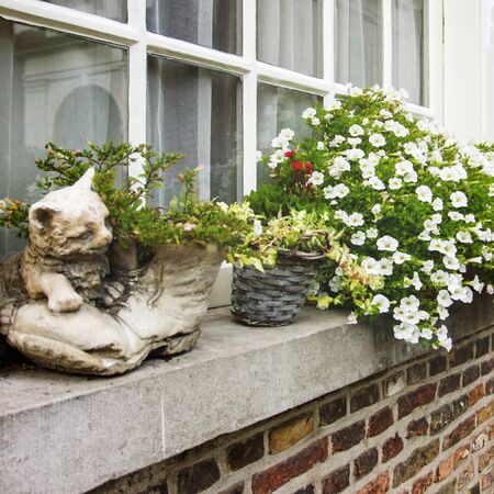Cozy window with flower pot, summer conceptの写真素材