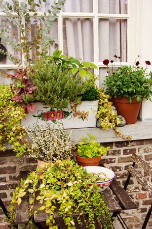 Cozy place for rest on backyard, window with flowersの写真素材