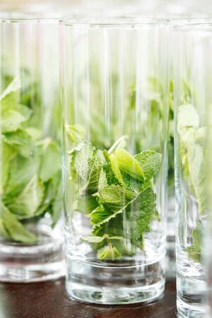Mint leaves in transparent high glasses for mojito cocktailの写真素材