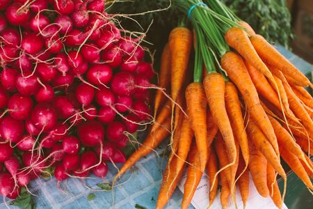 Bundles of fresh radish and young carrots on a vegetable market, fresh natural organic foodの写真素材