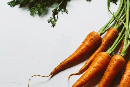 Young fresh carrots with green tops on white background with copy space