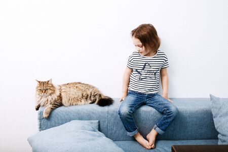 Little preschooler girl child sitting on a couch with cat against white wall background, looking on...