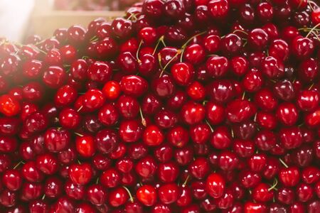 Bio natural fruit background with rows of ripe sweet cherries on a fruit marketの写真素材