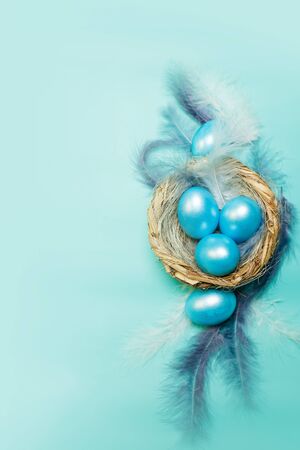 Blue easter background with colored eggs in the nest with feathers, top view with spaceの写真素材