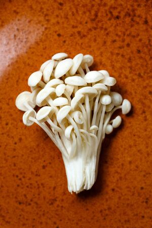 Enoki, Enokitake, Flammulina velutipes, edible mushroom popular in Japanese cuisine. Heap of little white mushrooms served on ceramics plate, close-up.の写真素材