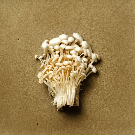 Enoki, Enokitake, Flammulina velutipes, edible mushroom popular in Japanese cuisine. Heap of little white mushrooms served on ceramics plate on white, dieting, close-up top view.の写真素材