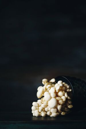 Enoki, Enokitake, Flammulina velutipes, edible mushroom popular in Japanese cuisine. Still life with little white mushrooms putted in blue wine glass on dark background.の写真素材