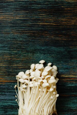 Enoki, Enokitake, Flammulina velutipes, edible mushroom popular in Japanese cuisine. Heap of little white mushrooms served on blue wooden background, close-up top view.の写真素材