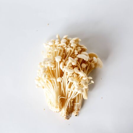 Enoki, Enokitake, Flammulina velutipes, edible mushroom popular in Japanese cuisine. Heap of little white enoki mushrooms on neutral white background, close-up.の写真素材