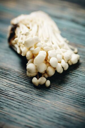 Enoki, Enokitake, Flammulina velutipes, edible mushroom popular in Japanese cuisine. Heap of little white mushrooms served on blue wooden background, close-up.の写真素材