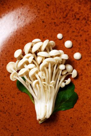 Enoki, Enokitake, Flammulina velutipes, edible mushroom popular in Japanese cuisine. Heap of little white mushrooms served on ceramics plate on white, dieting, close-up top view.の写真素材