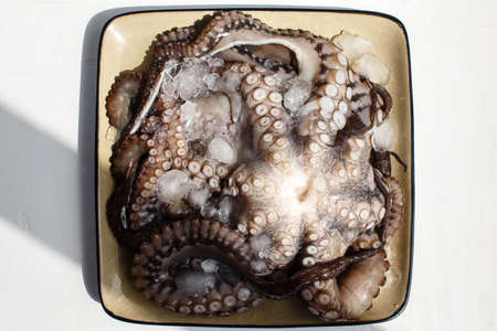 Seafood, whole raw big octopus on a plate in ice ready for preparing, top view, white tableの写真素材