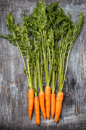Young fresh organic farmer carrots on rustic background, top view. Natural vegetables.の写真素材