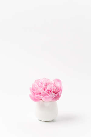 Innocence and delicacy minimalistic concept, one single flower of pink peony in small vase on white background, concept of sensuality and femininityの写真素材