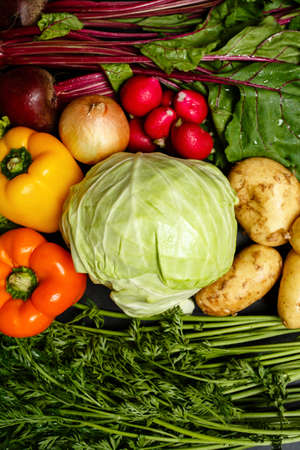 Top view of fresh assorted vegetables: cabbage, beetroots with haulm, potatoes, peppers and greenery.の写真素材