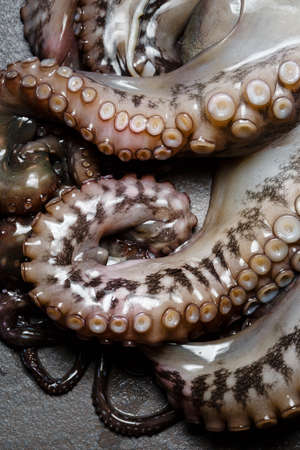 Seafood, close-up parts of raw octopus on stone board ready for preparing, view from aboveの写真素材