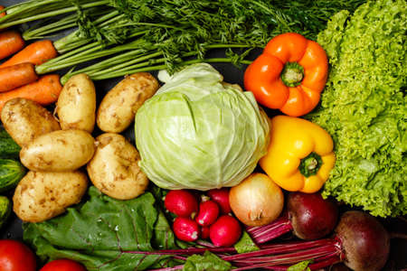 Top view of fresh assorted vegetables on dark black background: cabbage, young carrots and beetroots, potatoes, peppers and greenery.の写真素材