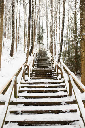 Way of health, boardwalk for pedestrians in winter forest, snowy weather outdoorsの写真素材