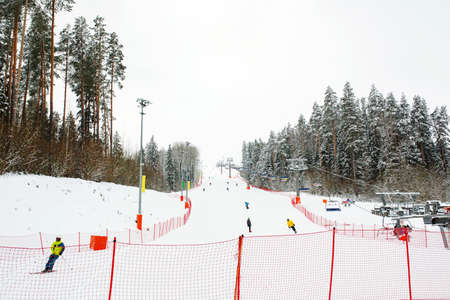 Ski slope with skiers in winter forest, extreme winter sportsの写真素材