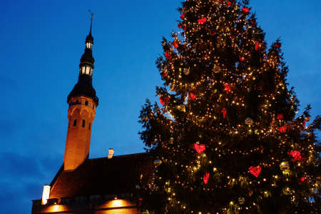 Christmas decorations on festive fir tree on main square of Tallinn, Estonia in the eveningの写真素材