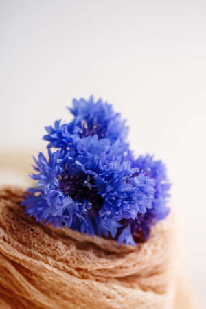 Bouquet of blue nice cornflowers, simple flower gift and decorationの写真素材
