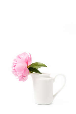 Innocence and delicacy minimalistic valentine day concept, one single flower of pink peony in small vase on white background, concept of sensuality and femininityの写真素材