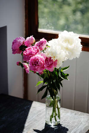 Flower bouquet of pink and white fresh peony flowers in a vase in sunshine under the windowの写真素材