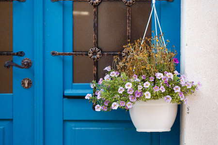 Blue vintage door with hanging flowerpot with little pink flowers close-upの写真素材